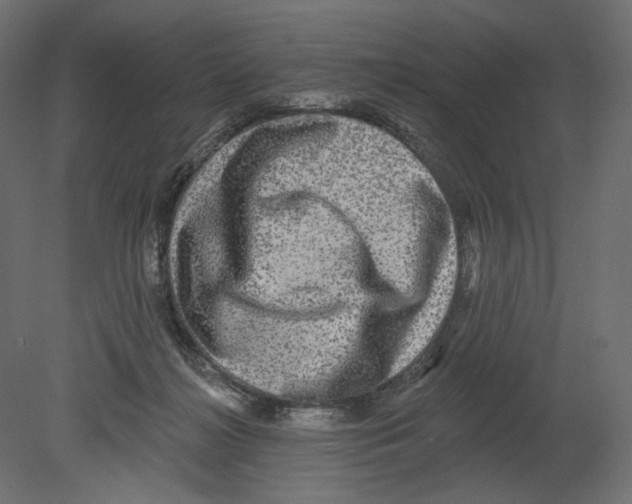 X0000080690268200701121733