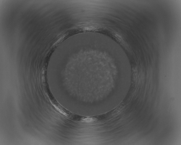 X0000080690269200701121733