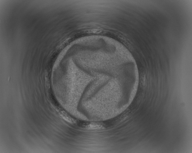 X0000080690270200701121733