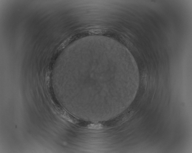 X0000080690271200701121733