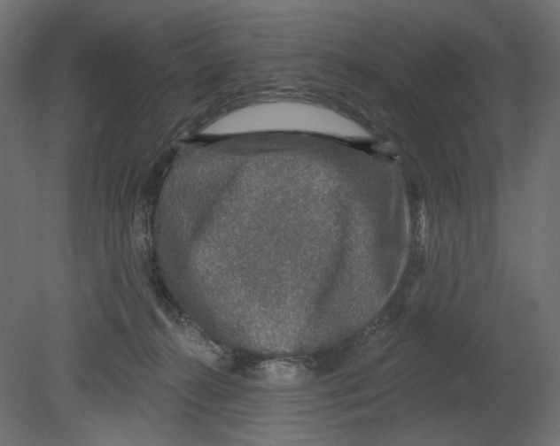 X0000080690272200701121733