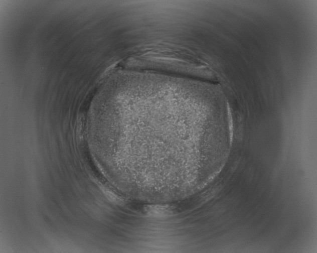 X0000080690273200701121733