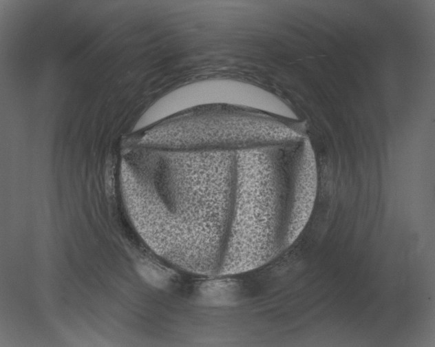 X0000080690274200701121733