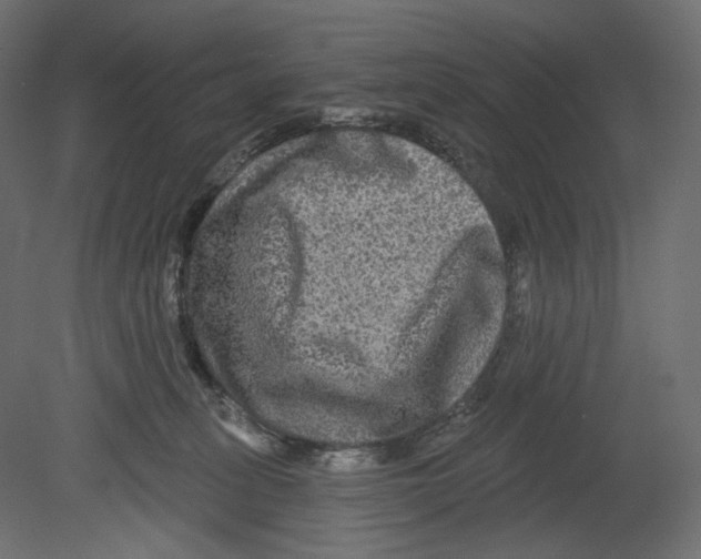 X0000080690275200701121733