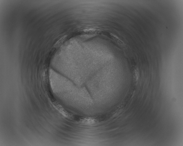 X0000080690276200701121733