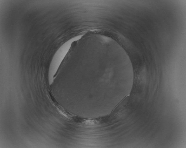 X0000080690277200701121733