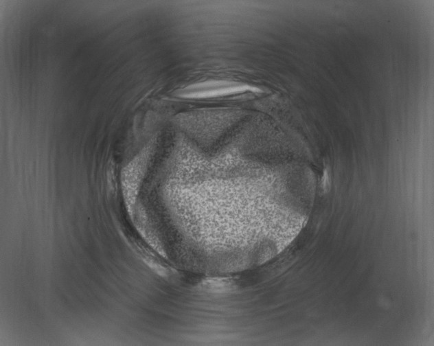 X0000080690280200701121733