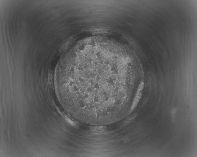 X0000080690281200701121733