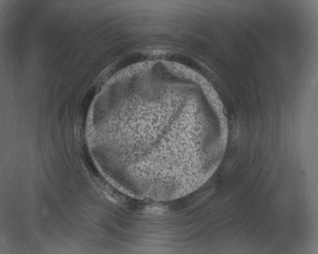 X0000080690283200701121733