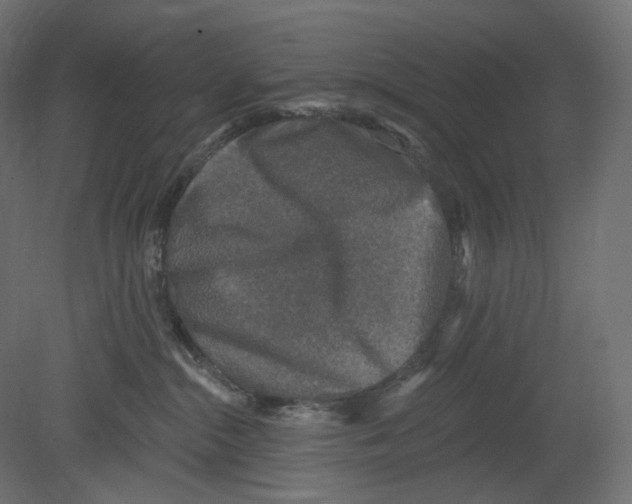 X0000080690284200701121733