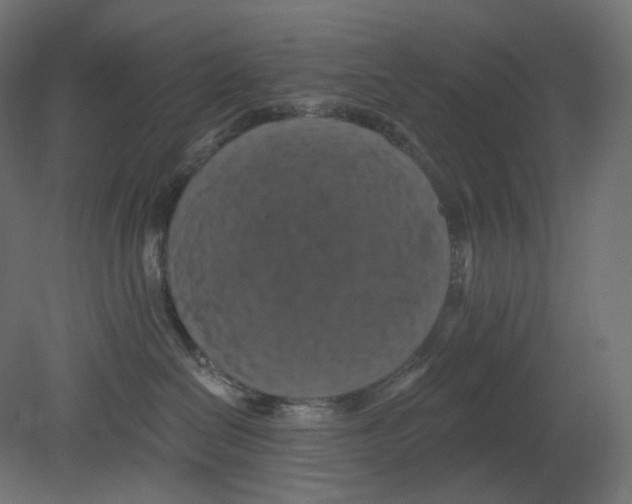 X0000080690286200701121733