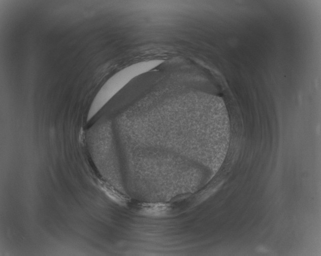 X0000080690288200701121733