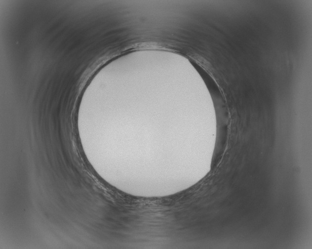 X0000080690289200701121732