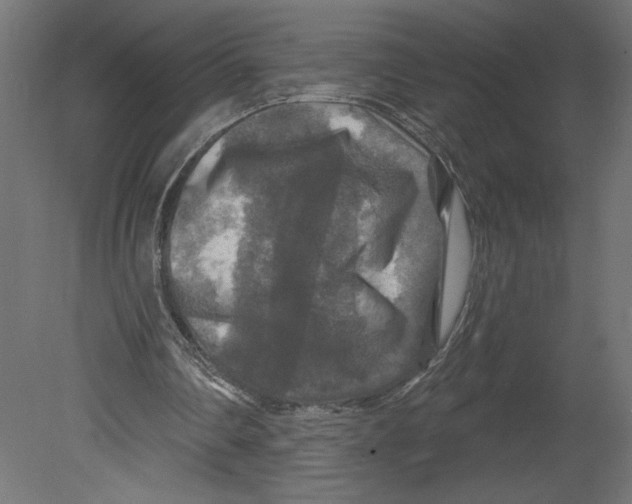 X0000080690290200701121732