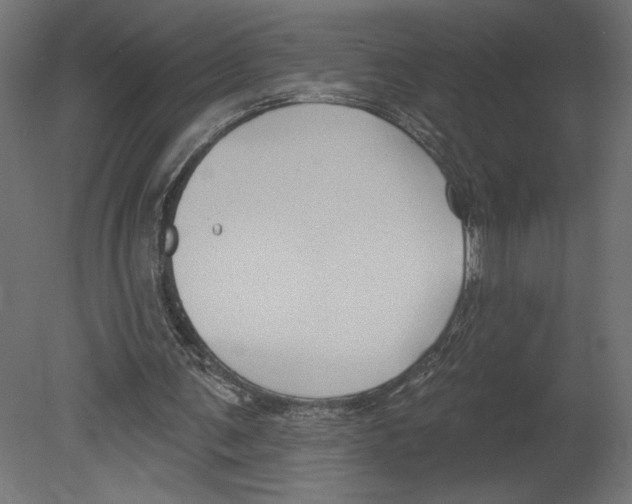 X0000080690291200701121732