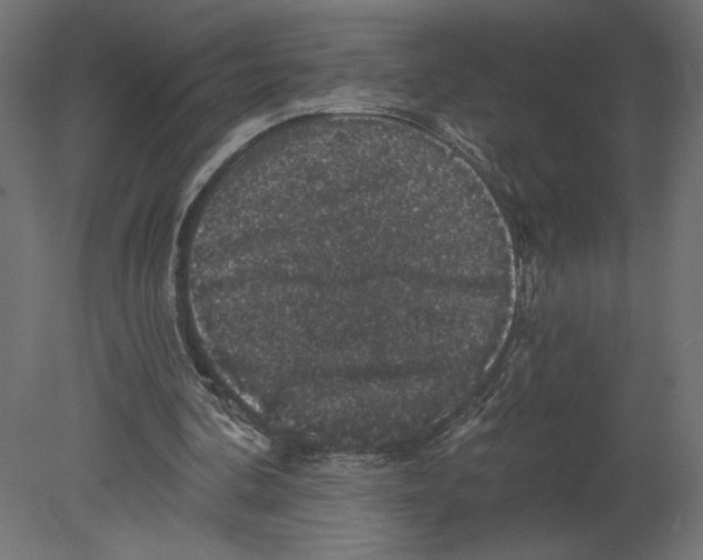 X0000080690292200701121732