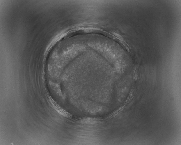 X0000080690293200701121732