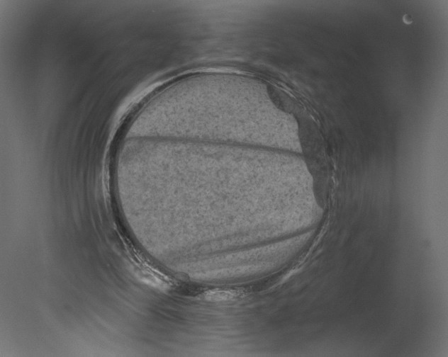 X0000080690294200701121732