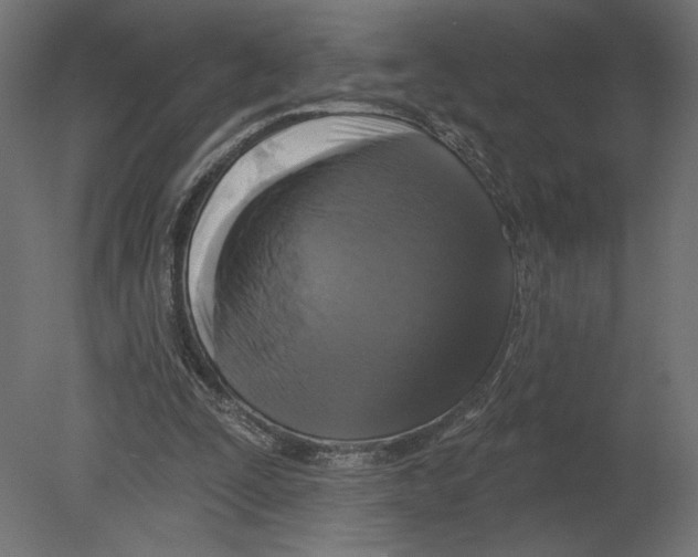 X0000080690295200701121732