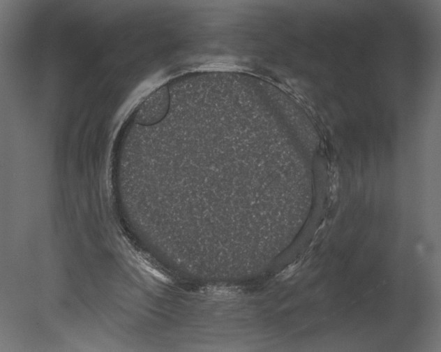 X0000080690296200701121732