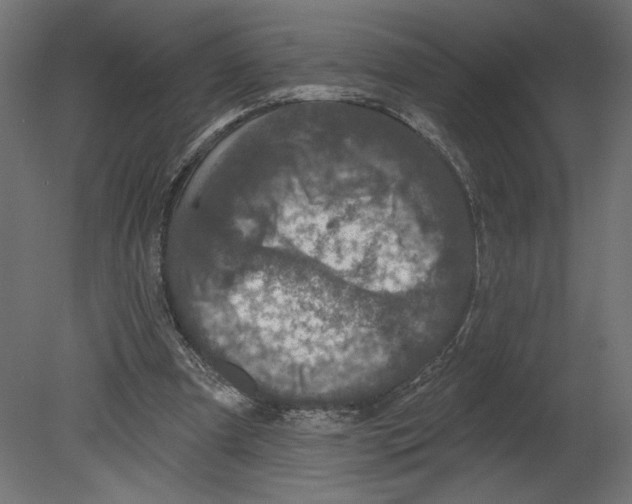 X0000080690297200701121732