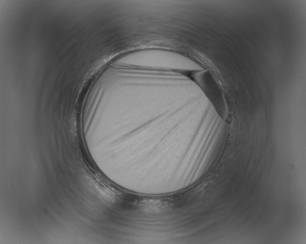 X0000080690298200701121732