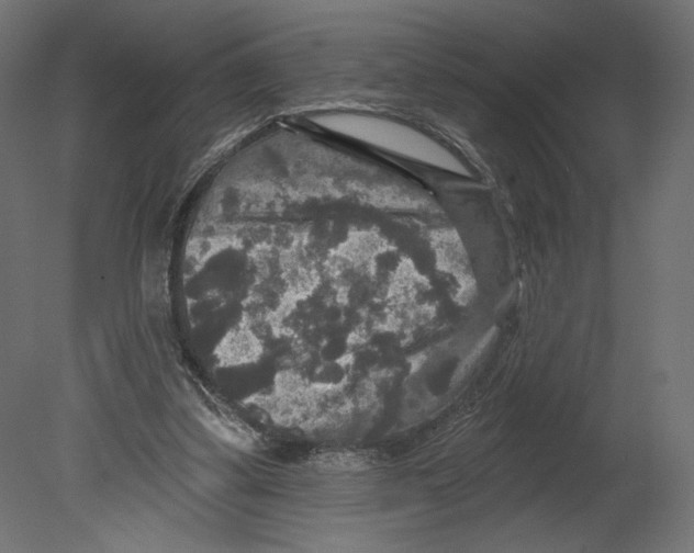 X0000080690299200701121732