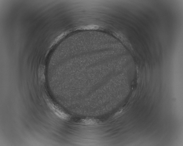 X0000080690300200701121732