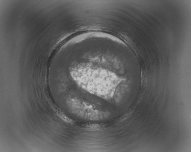 X0000080690301200701121732