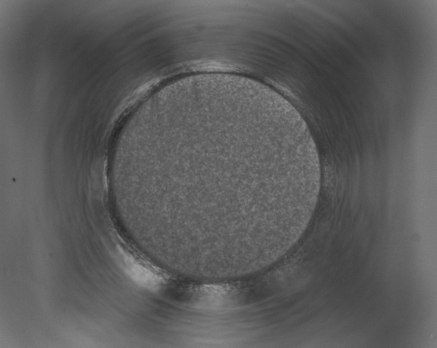 X0000080690302200701121732