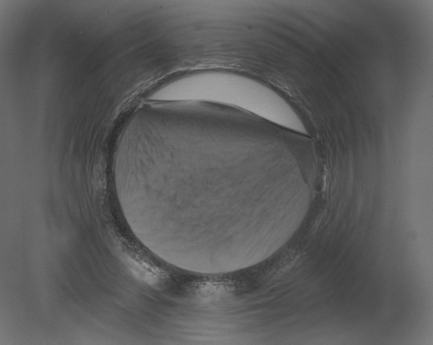 X0000080690303200701121732