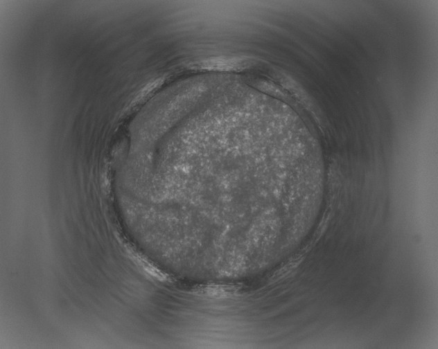 X0000080690305200701121732