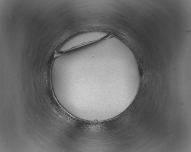 X0000080690306200701121732