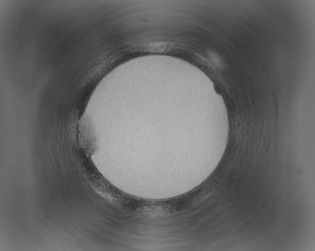 X0000080690307200701121732