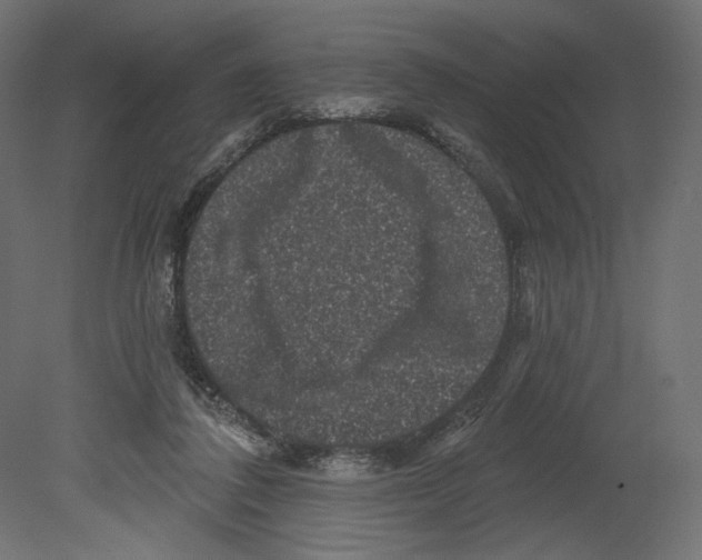 X0000080690308200701121732