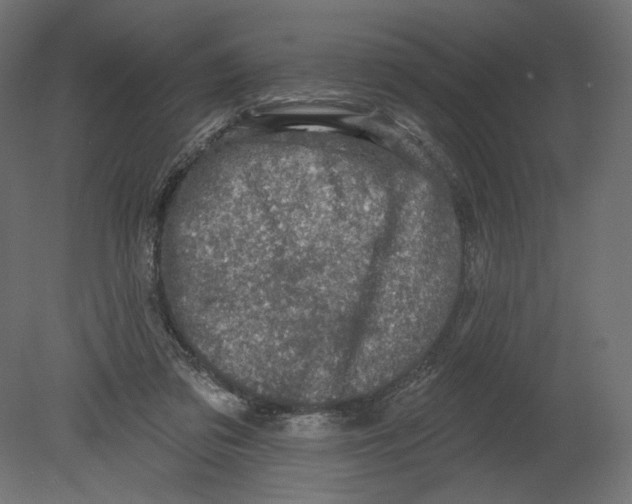 X0000080690309200701121732