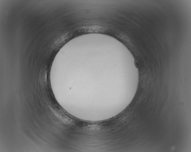 X0000080690310200701121732