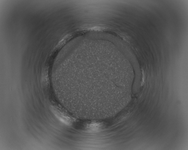 X0000080690312200701121732