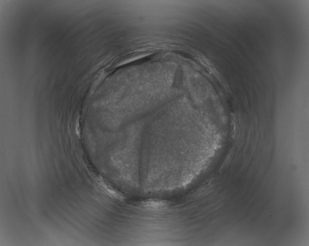 X0000080690313200701121732