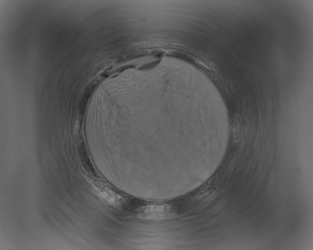 X0000080690314200701121732