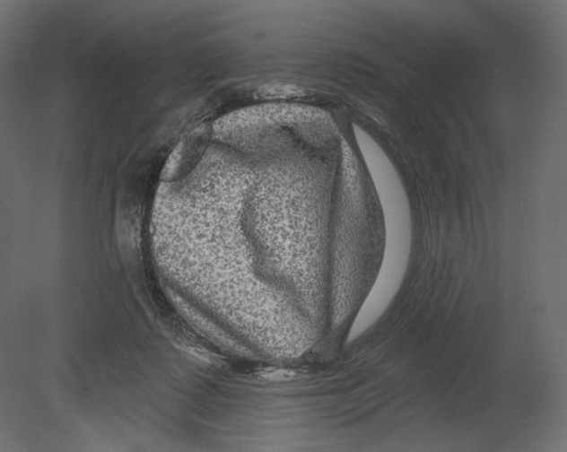 X0000080690315200701121732