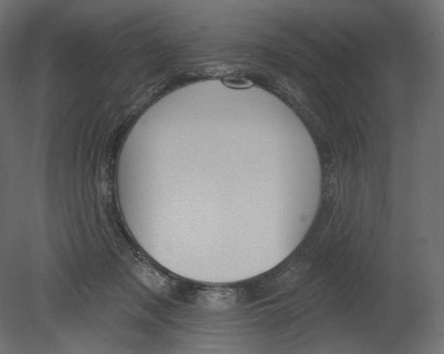 X0000080690317200701121732