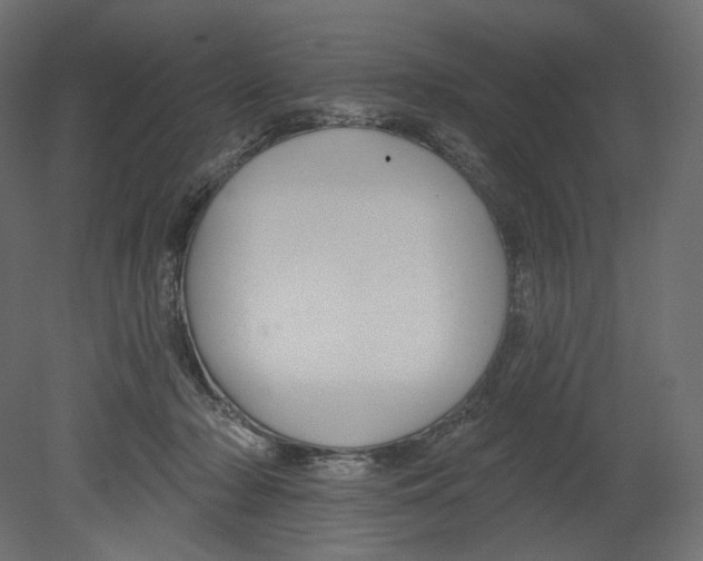 X0000080690318200701121732