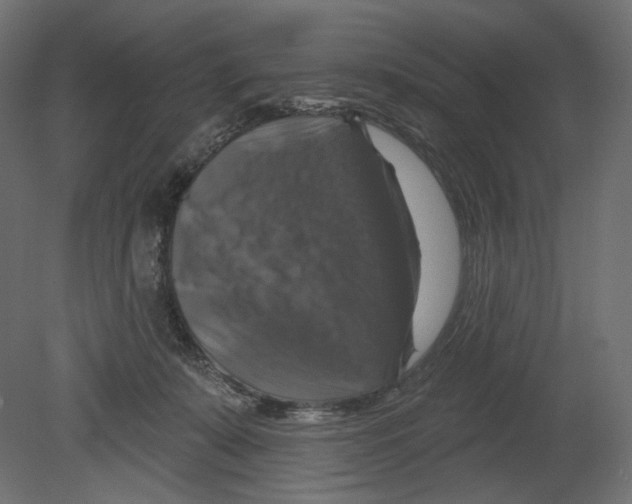 X0000080690319200701121732