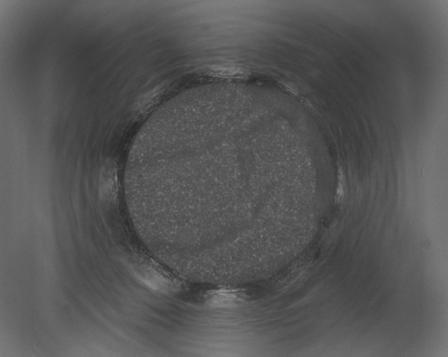 X0000080690320200701121732