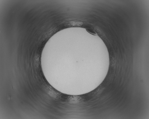 X0000080690321200701121732