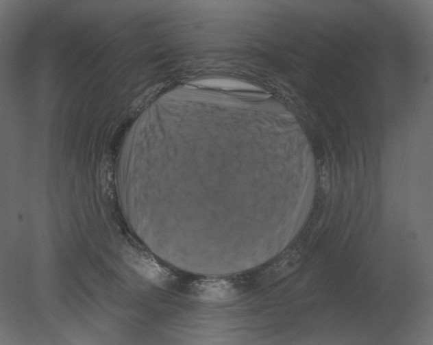 X0000080690322200701121732