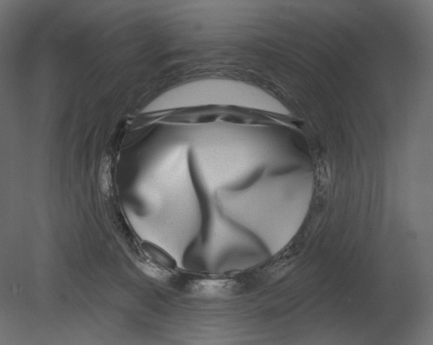 X0000080690323200701121732