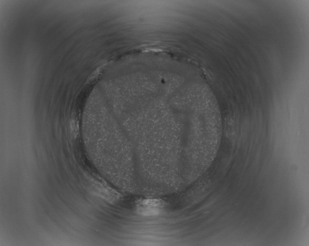 X0000080690324200701121732