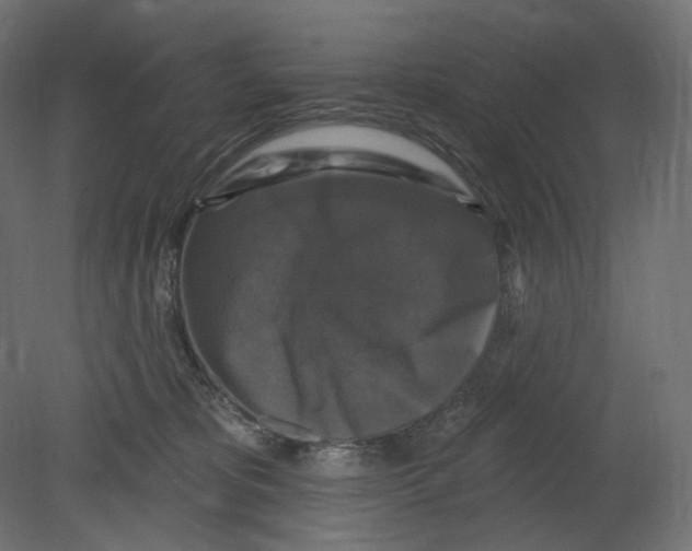 X0000080690325200701121732